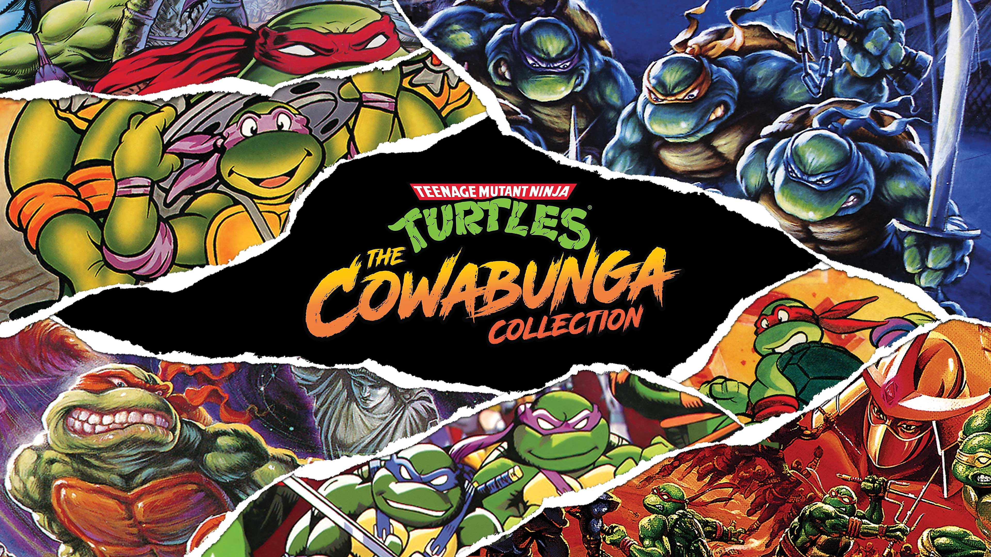 Teenage Mutant Ninja Turtles: The Cowabunga Collection